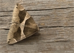 Dunkelbraune_Brombeereule-Dysgonia_algira-22_08_2017.jpg