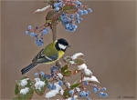 Kohlmeise-great_tit-im_Schneeregen.jpg